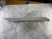 (C) pillar trim