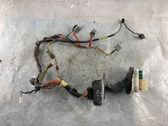 Front door wiring loom