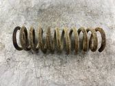 Rear coil spring