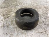 Rear coil spring rubber mount