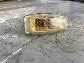 Front fender indicator light