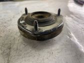 Coil spring/strut mount