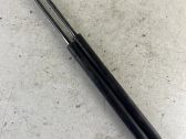 Tailgate/trunk strut/damper