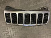 Front bumper upper radiator grill