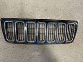 Front bumper upper radiator grill