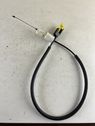 Ignition lock cable