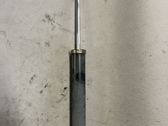 Rear shock absorber/damper