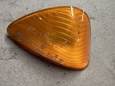 Front fender indicator light