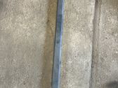 Front door trim (molding)