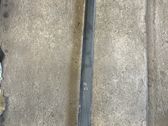 Front door trim (molding)