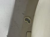 (C) pillar trim