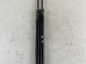 Tailgate/trunk strut/damper