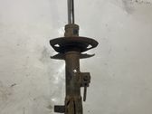 Front shock absorber/damper