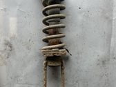 Front shock absorber with coil spring