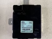 Door central lock control unit/module