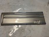 Front door trim (molding)