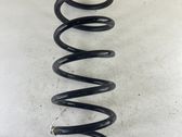 Front coil spring
