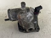 Thermostat/thermostat housing