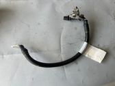 Negative earth cable (battery)