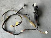 Rear door wiring loom