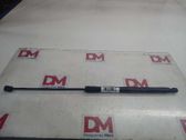 Front bonnet/hood damper/strut