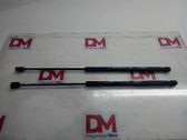 Tailgate/trunk/boot lid buffer