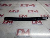 Manecilla externa puerta trasera