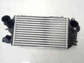Radiador intercooler