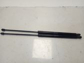 Tailgate/trunk/boot lid buffer
