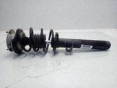 Amortiguador delantero con muelle espiral