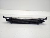 Radiador intercooler