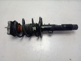 Front shock absorber with coil spring