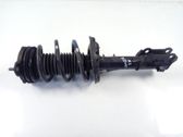 Amortiguador delantero con muelle espiral