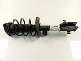 Front shock absorber with coil spring