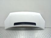 Engine bonnet/hood