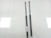 Tailgate/trunk/boot lid buffer