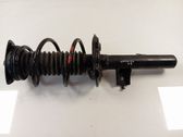 Amortiguador delantero con muelle espiral