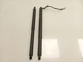 Tailgate/trunk/boot lid buffer