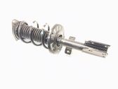 Amortiguador delantero con muelle espiral