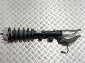 Amortiguador delantero con muelle espiral