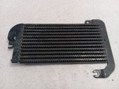 Refrigerante del combustible (radiador)