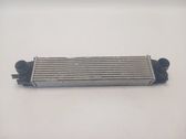 Intercooler radiator