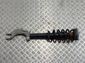 Front shock absorber with coil spring
