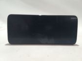 Pantalla del monitor frontal