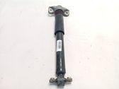 Rear shock absorber/damper