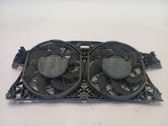 Electric radiator cooling fan