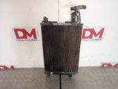 A/C cooling radiator (condenser)
