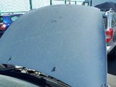 Engine bonnet/hood