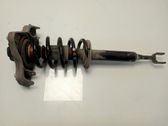 Amortiguador delantero con muelle espiral