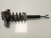 Amortiguador delantero con muelle espiral